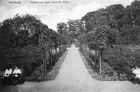 Hammer%20Park.jpg